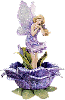Fairyrose Lavender