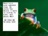 Frog Ruler