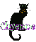Black Cat Chyenne