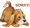Little dog with Sorry message