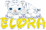 baby white tiger cub cute name-Elora