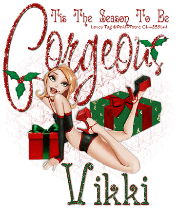 VIKKI Gorgeous Season RV