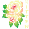 Changing Rose with Kitten