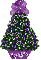purple mismis tree,  Lynyrd