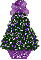 purple mismis tree,  Zet