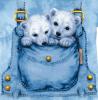 twins polar bears