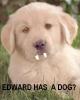 Edward's dog