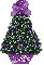 purple mismis tree,  Joselyn