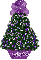 purple mismis tree, Alissa