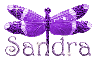 purple dragonfly sandra