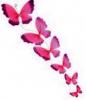 pinkbutterfly