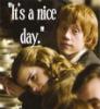 "It's a nice day" for Hermione :)