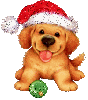 christmas puppy