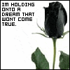 holding to a dream