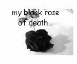 my black rose