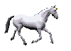 white_horse