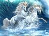 Water Unicorns 