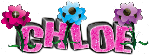 chloe - flower