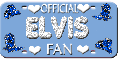 Elvis Fan