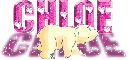 chloe - polar bear