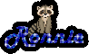 Raccoon- Ronnie