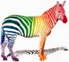 Happy Rainbow Zebra
