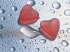2 HEARTS Valentine Love