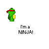 "I'm A Ninja"