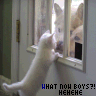 what now boys =3
