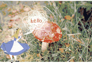 ALICE