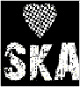 Ska Love
