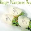 TINKER BELL ROSES HAPPY VALENTINES DAY