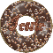 doughnut jessie