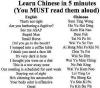 learn chinese in 5 mins