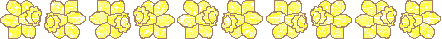 Daffodil line