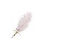 Feather Pen Cream - Nimue