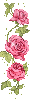 animated rose
