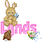Animated Bunny: Lynds