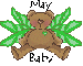 May baby bear
