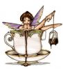 cute fairy in a tea cup