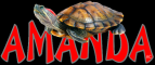Turtle Amanda