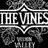 The Vines, Vision Valley