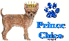 Chihuahua and crown with Prince Chico
