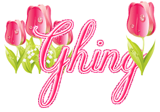 tulips ghing