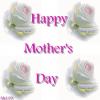 Happy Mothers Day Roses 
