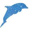 Blue Sparkle Dolphin