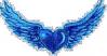 Blue winged Heart