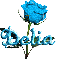 baby blue rose delia