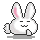 bunny cool!