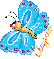 Cheyenne Butterfly